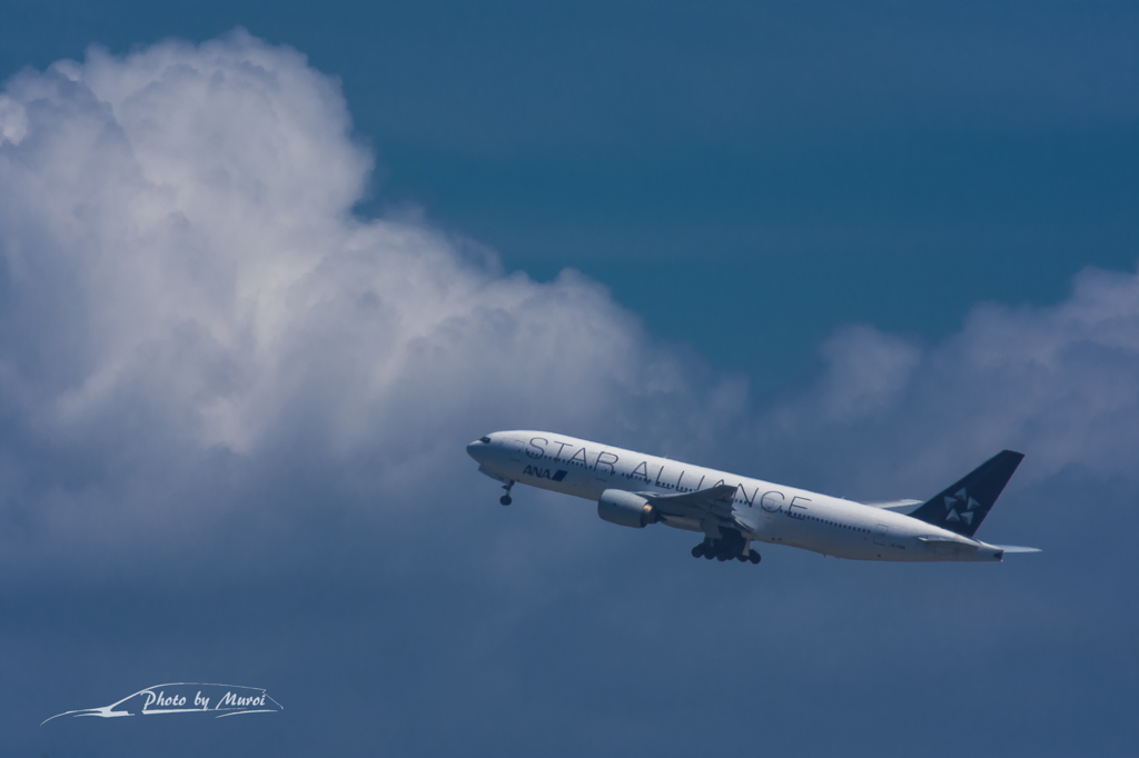 NIKON D7200-20150823-125024-0