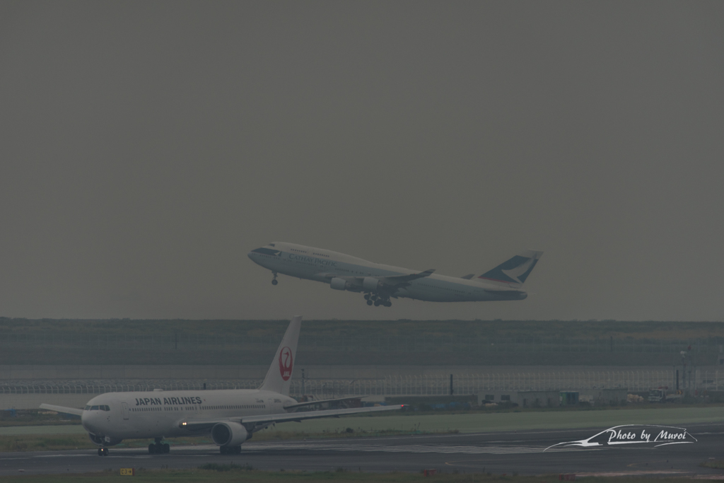 NIKON D810-20151010-110825-0