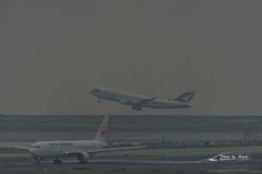 NIKON D810-20151010-110825-0