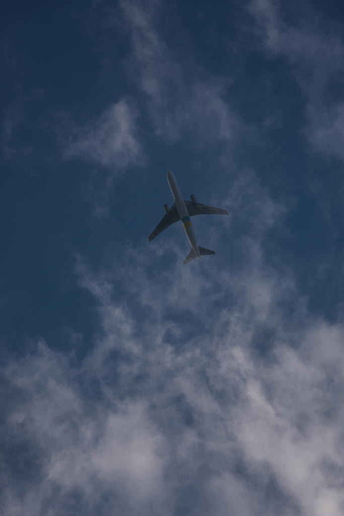 20151212-141110-0-NIKON D810