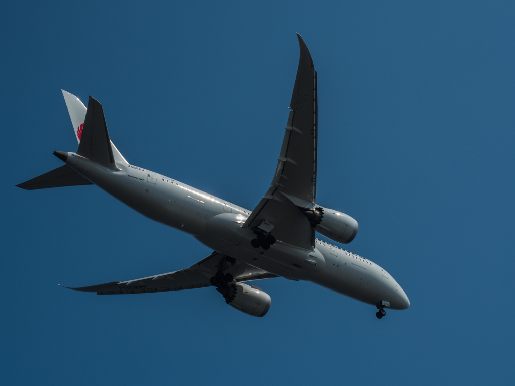 E-M5MarkII-20150711-141240-0