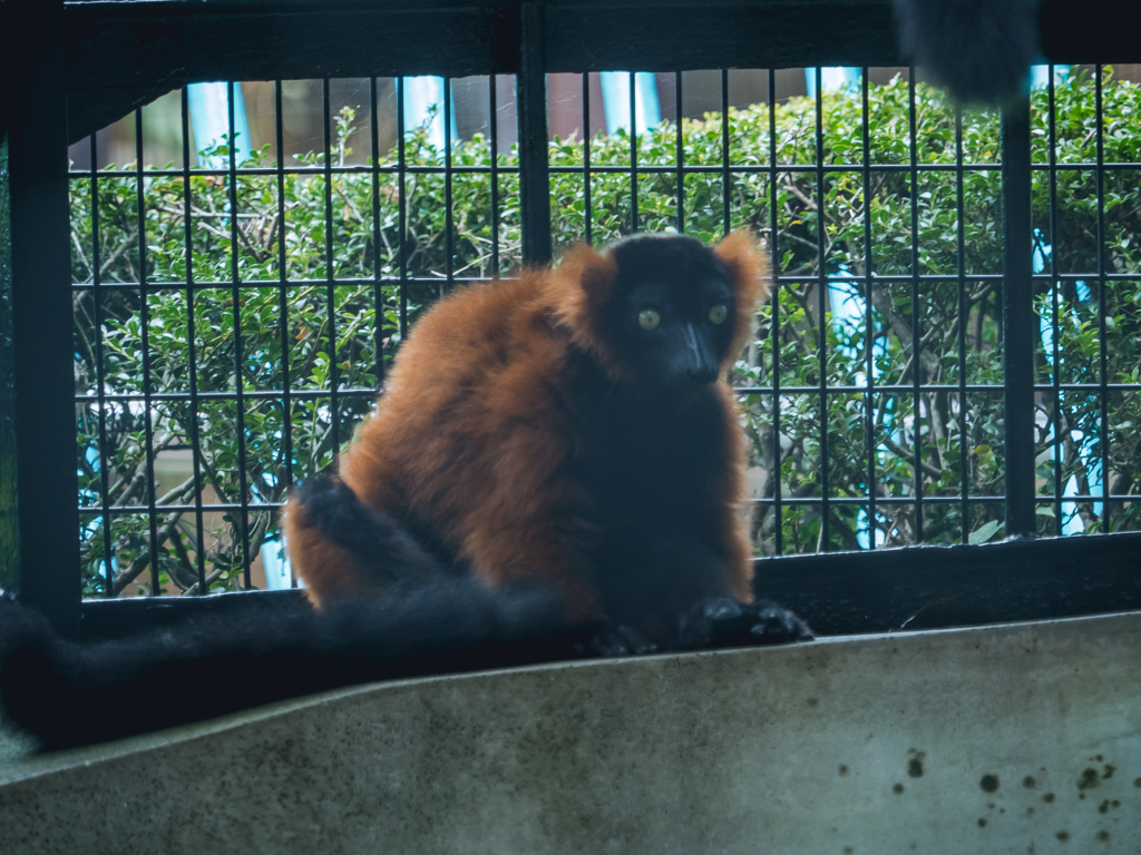 E-M5MarkII-20150814-111505-0