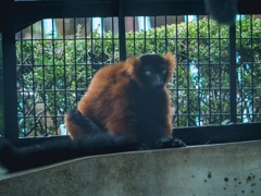 E-M5MarkII-20150814-111505-0