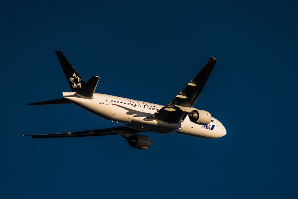 20151205-152145-0-NIKON D810