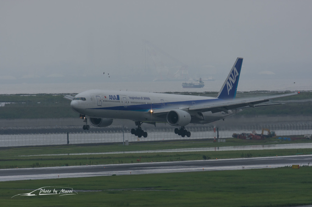 NIKON D7200-20150830-120732-0