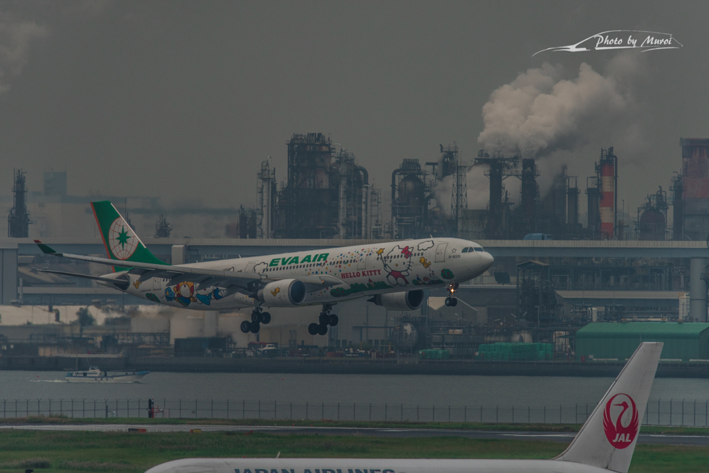 NIKON D810-20151010-113207-0