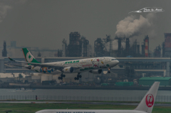 NIKON D810-20151010-113207-0