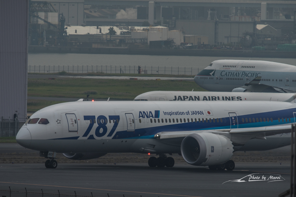 NIKON D810-20151010-105821-0