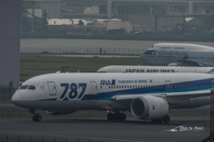 NIKON D810-20151010-105821-0
