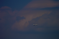 NIKON 1 V2-20150607-124143-0