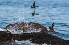NIKON D7200-20150725-060021-0