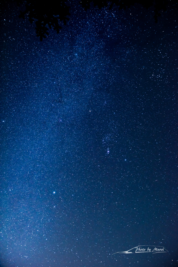 NIKON D810-20151025-032438-0
