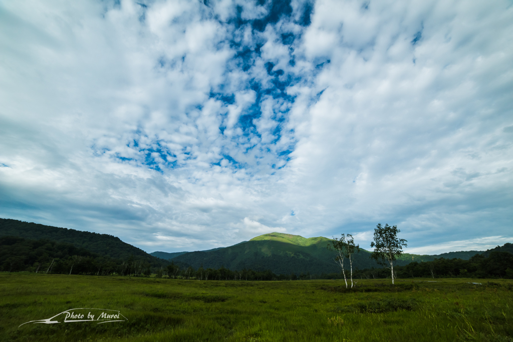 NIKON D810-20150822-070616-0