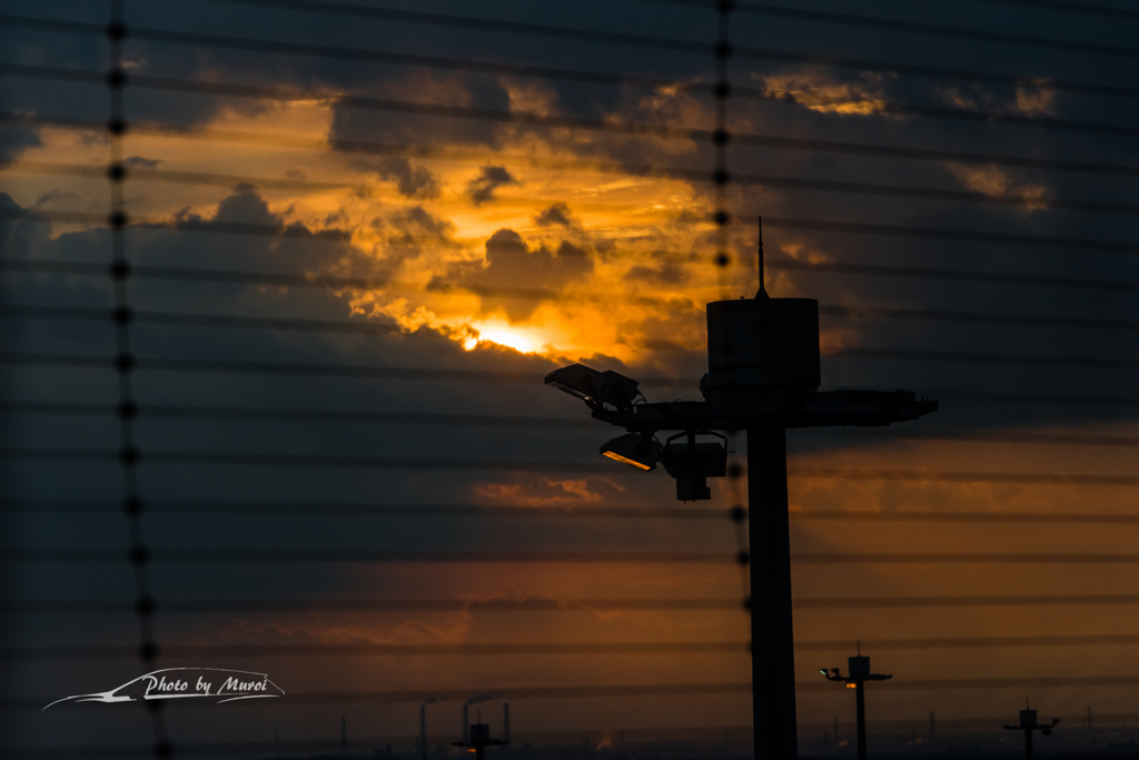NIKON D810-20151031-062857-0