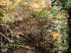 E-M5MarkII-20151025-083228-0