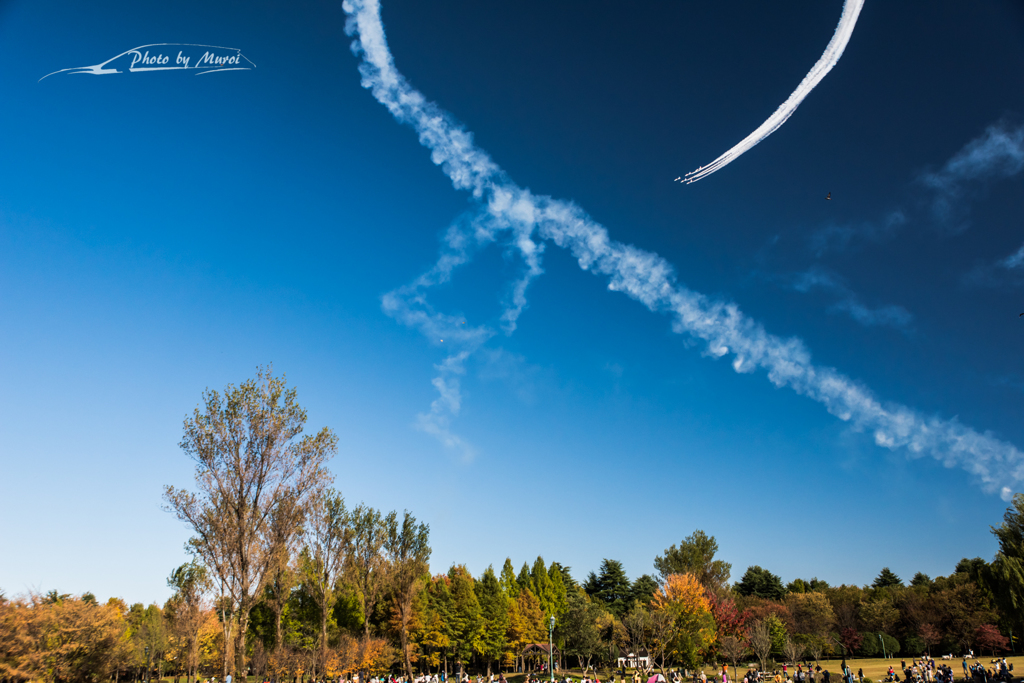 20151103-140220-0-NIKON D810