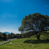 E-M5MarkII-20150920-093548-0