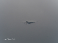 20151115-111648-0-E-M5MarkII