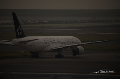 NIKON D810-20151010-113811-0