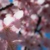 20160227-104319-0-E-M5MarkII