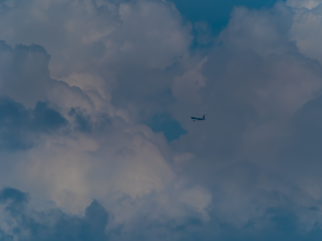 E-M5MarkII-20150607-135058-0