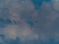 E-M5MarkII-20150607-135058-0