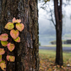 20151103-062139-0-NIKON D810