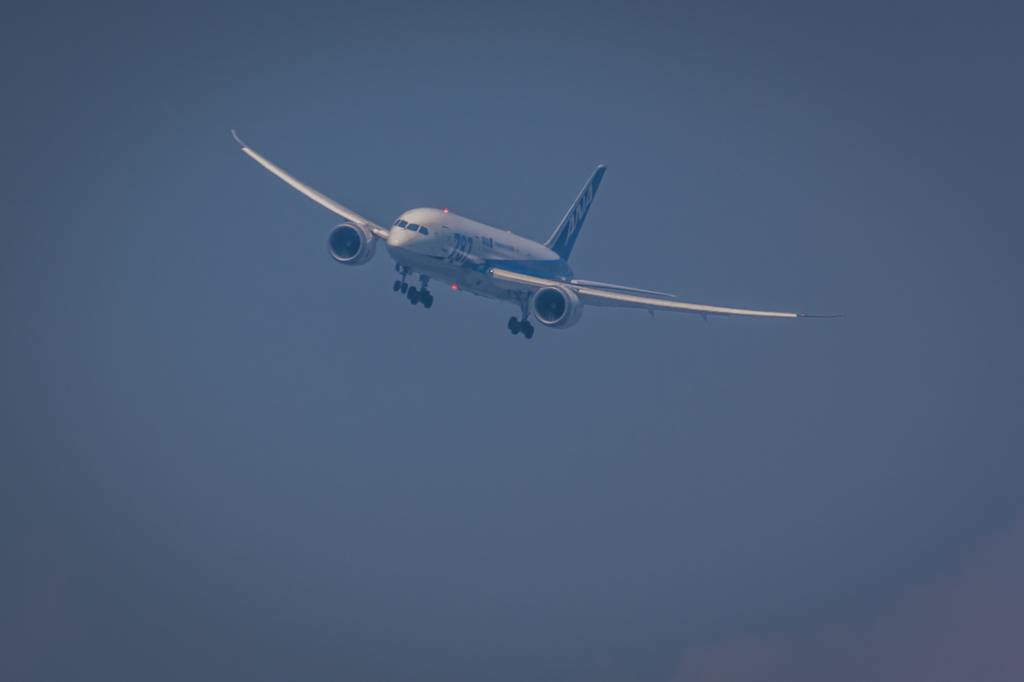 NIKON D7200-20150711-131446-0