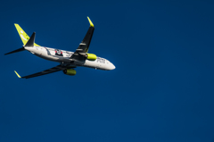 20151205-150019-0-NIKON D810