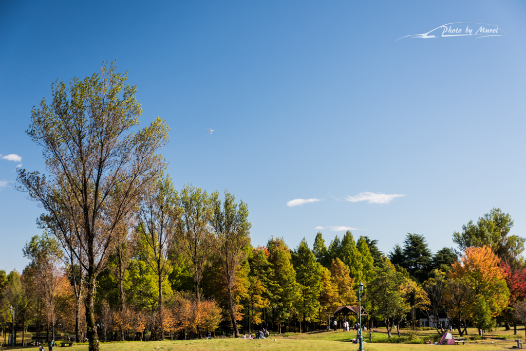20151103-102615-0-NIKON D810