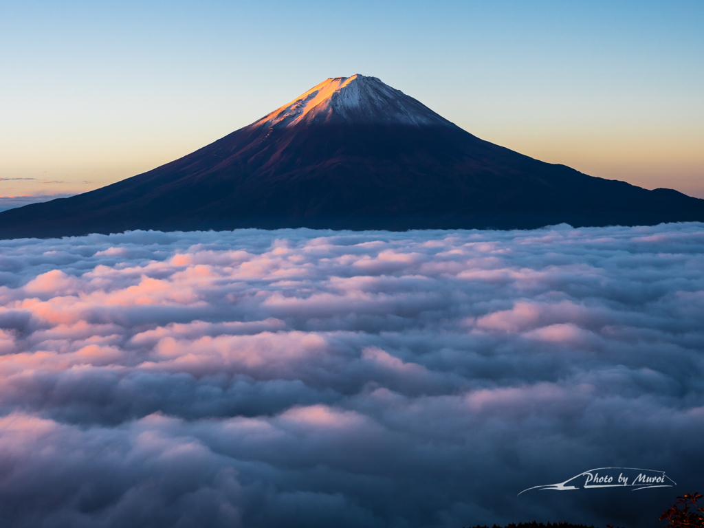 E-M5MarkII-20151018-060702-0