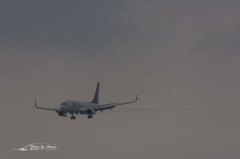 NIKON D7200-20150830-121532-0