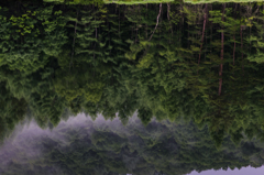 NIKON D810-20150704-053327-0