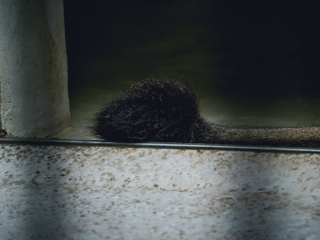 E-M5MarkII-20150814-110436-0