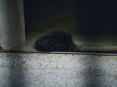 E-M5MarkII-20150814-110436-0