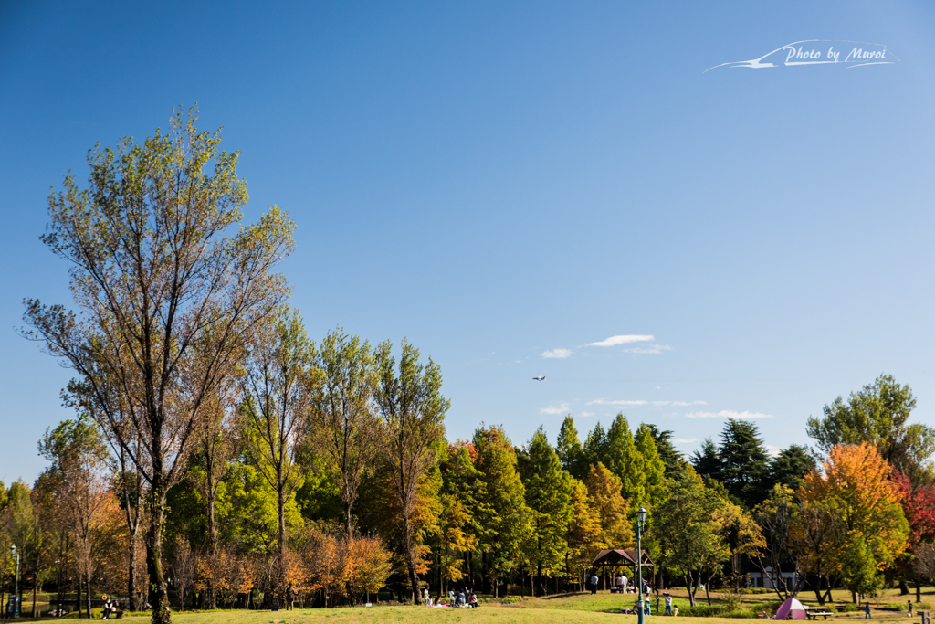 20151103-102201-0-NIKON D810