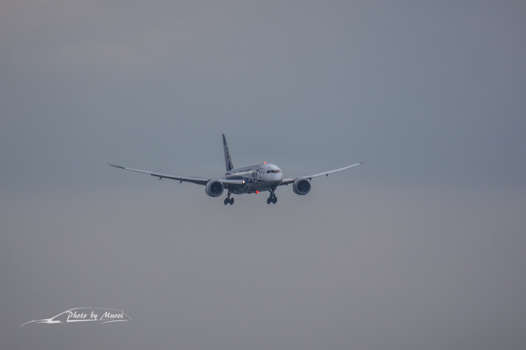 NIKON D7200-20151031-100716-0