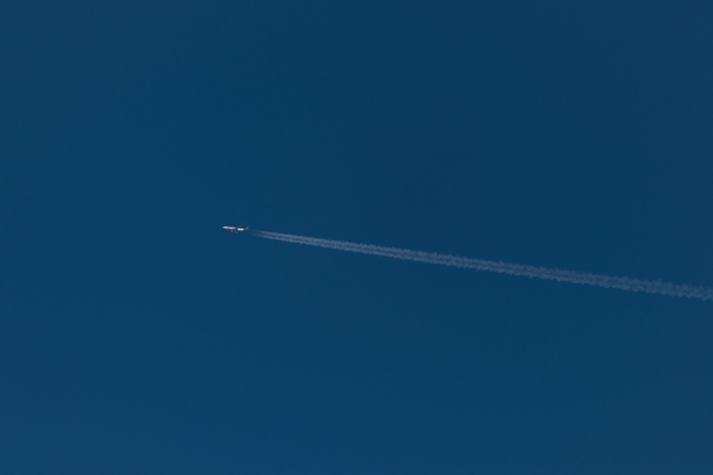 20160116-114936-0-NIKON D810