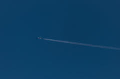 20160116-114936-0-NIKON D810