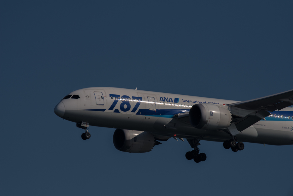 20160116-130702-0-NIKON D810
