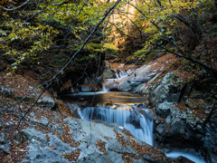 E-M5MarkII-20151025-081405-0