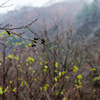 20151114-073154-0-NIKON D810
