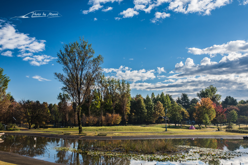 20151103-080912-0-NIKON D810