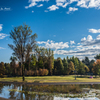20151103-080912-0-NIKON D810