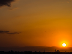 E-M5MarkII-20150604-184422-0