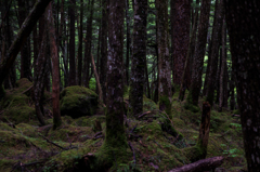 NIKON D810-20150704-084926-0