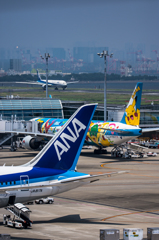 NIKON D7200-20150802-115213-0
