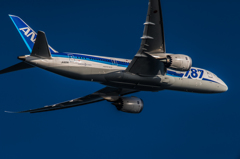 20151205-143632-0-NIKON D810
