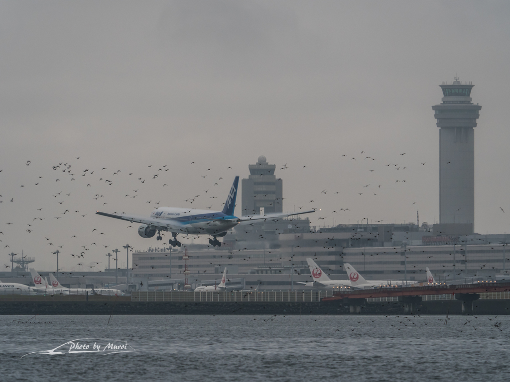 20151115-102349-0-E-M5MarkII