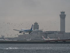 20151115-102349-0-E-M5MarkII